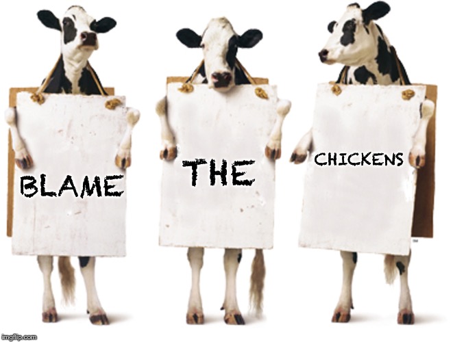 Chick-fil-A 3-cow billboard | BLAME THE CHICKENS | image tagged in chick-fil-a 3-cow billboard | made w/ Imgflip meme maker