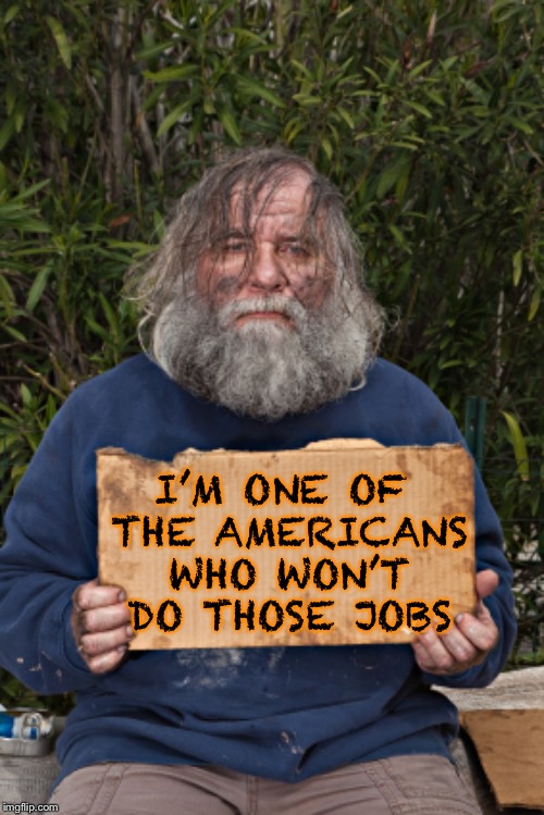 Blak Homeless Sign | I’M ONE OF THE AMERICANS WHO WON’T DO THOSE JOBS | image tagged in blak homeless sign | made w/ Imgflip meme maker