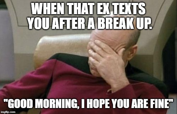 Captain Picard Facepalm | WHEN THAT EX TEXTS YOU AFTER A BREAK UP. "GOOD MORNING, I HOPE YOU ARE FINE" | image tagged in memes,captain picard facepalm | made w/ Imgflip meme maker