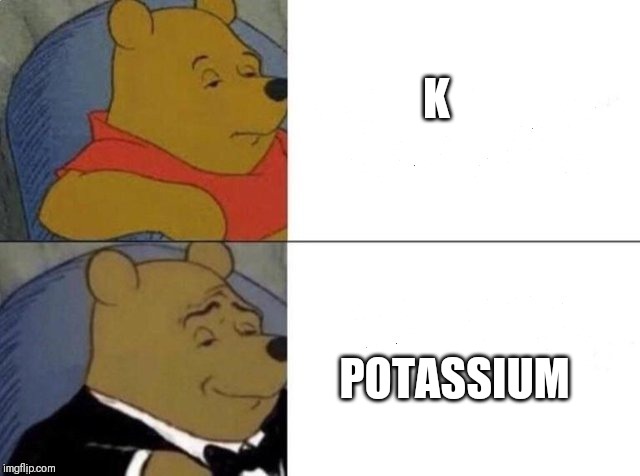 Tuxedo Winnie The Pooh Meme | K; POTASSIUM | image tagged in tuxedo winnie the pooh | made w/ Imgflip meme maker