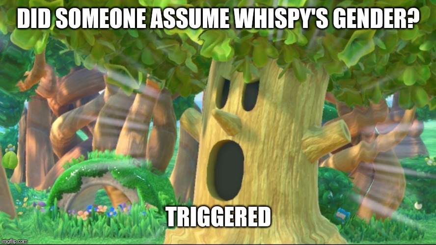 Breaking News:local tree gets triggered | DID SOMEONE ASSUME WHISPY'S GENDER? TRIGGERED | image tagged in whispy woods screaming,triggered,kirby,memes | made w/ Imgflip meme maker
