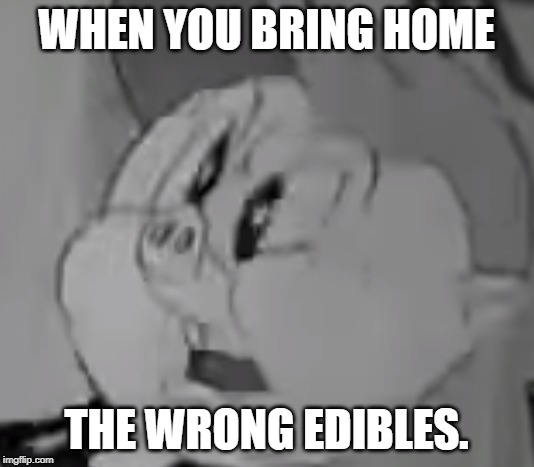 WHEN YOU BRING HOME; THE WRONG EDIBLES. | image tagged in porky pig when you bring home the wrong edibles | made w/ Imgflip meme maker