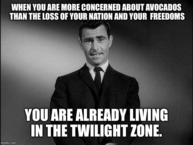 rod serling twilight zone | WHEN YOU ARE MORE CONCERNED ABOUT AVOCADOS THAN THE LOSS OF YOUR NATION AND YOUR  FREEDOMS; YOU ARE ALREADY LIVING IN THE TWILIGHT ZONE. | image tagged in rod serling twilight zone | made w/ Imgflip meme maker