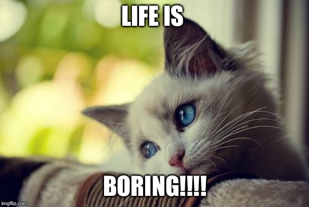 First World Problems Cat Meme | LIFE IS; BORING!!!! | image tagged in memes,first world problems cat | made w/ Imgflip meme maker