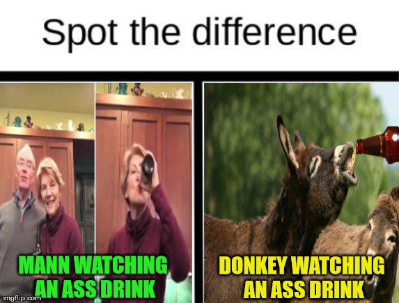 Spot The Difference | DONKEY WATCHING AN ASS DRINK; MANN WATCHING AN ASS DRINK | image tagged in spot the difference,memes,drinking,watching,elizabeth warren,face | made w/ Imgflip meme maker