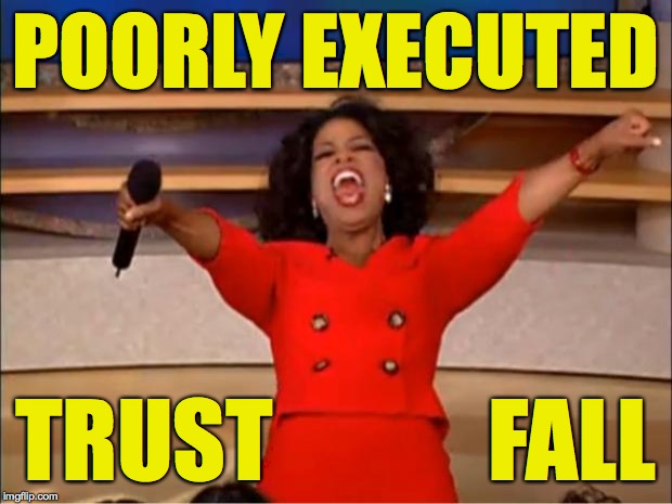 Trust fall fail. | POORLY EXECUTED; TRUST            FALL | image tagged in memes,oprah you get a,trust fall | made w/ Imgflip meme maker