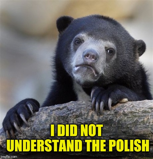 Confession Bear Meme | I DID NOT UNDERSTAND THE POLISH | image tagged in memes,confession bear | made w/ Imgflip meme maker