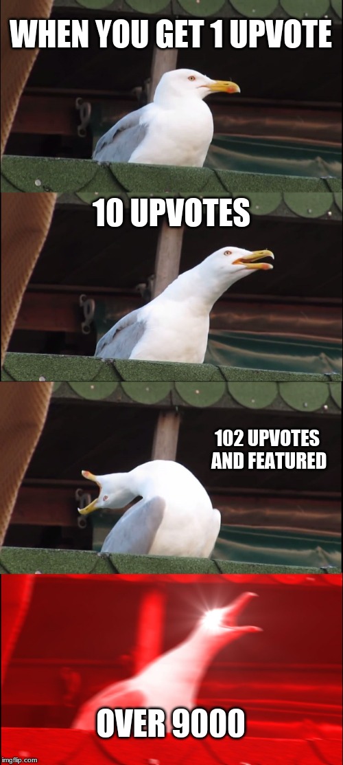 Inhaling Seagull | WHEN YOU GET 1 UPVOTE; 10 UPVOTES; 102 UPVOTES AND FEATURED; OVER 9000 | image tagged in memes,inhaling seagull | made w/ Imgflip meme maker