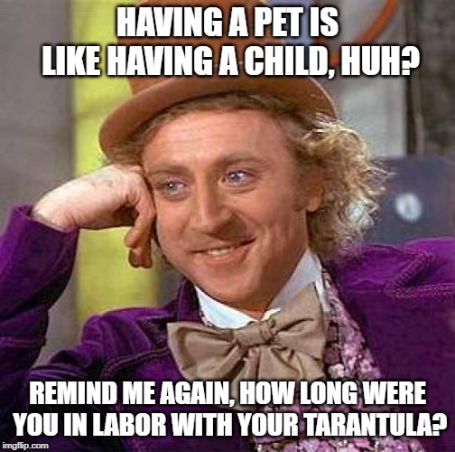 Creepy Condescending Wonka | HAVING A PET IS LIKE HAVING A CHILD, HUH? REMIND ME AGAIN, HOW LONG WERE YOU IN LABOR WITH YOUR TARANTULA? | image tagged in memes,creepy condescending wonka | made w/ Imgflip meme maker