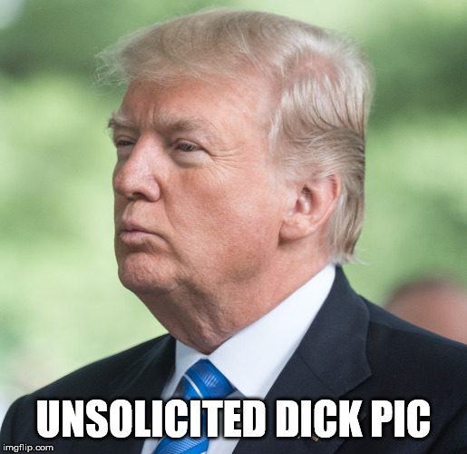 Donald J Trump | UNSOLICITED DICK PIC | image tagged in donald j trump | made w/ Imgflip meme maker