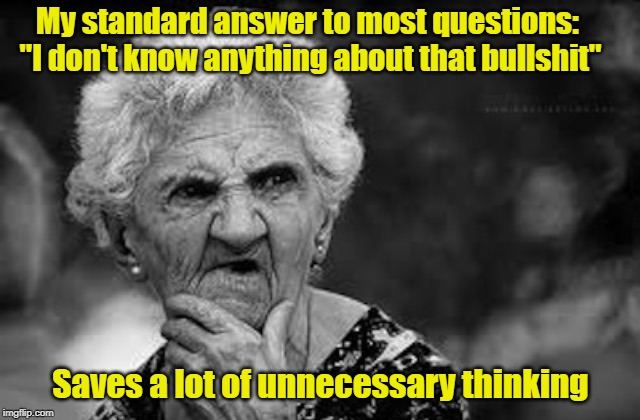 If Only More People Would Admit To It | My standard answer to most questions: "I don't know anything about that bullshit"; Saves a lot of unnecessary thinking | image tagged in thinking old woman,funny memes | made w/ Imgflip meme maker