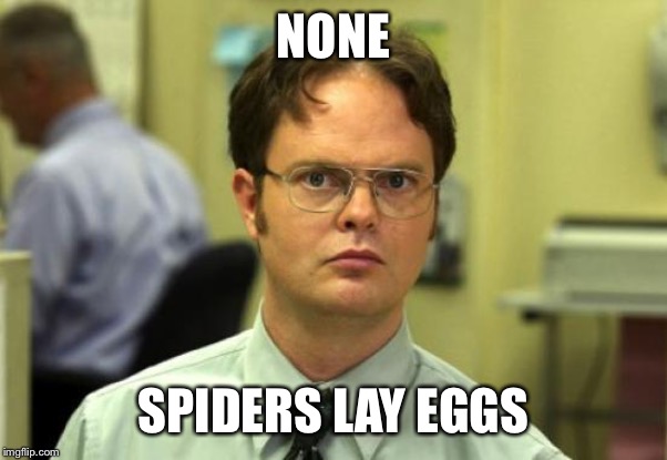 Dwight Schrute Meme | NONE SPIDERS LAY EGGS | image tagged in memes,dwight schrute | made w/ Imgflip meme maker