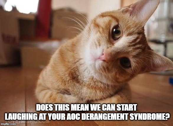 Curious Question Cat | DOES THIS MEAN WE CAN START LAUGHING AT YOUR AOC DERANGEMENT SYNDROME? | image tagged in curious question cat | made w/ Imgflip meme maker