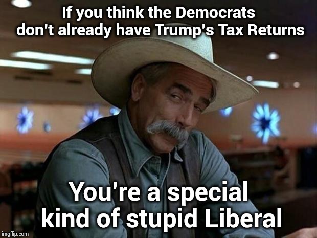 Just more rhetoric for the Democrats' propaganda wing | If you think the Democrats don't already have Trump's Tax Returns; You're a special kind of stupid Liberal | image tagged in special kind of stupid,taxes,arrogant rich man,politicians suck,bullshit,waste of time | made w/ Imgflip meme maker