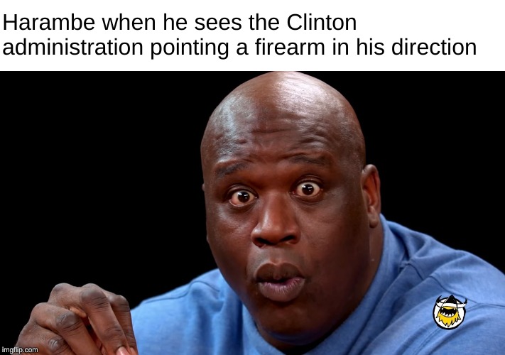 Pew Pew |  Harambe when he sees the Clinton administration pointing a firearm in his direction | image tagged in memes,shaq,surprised shaq,harambe,guns | made w/ Imgflip meme maker