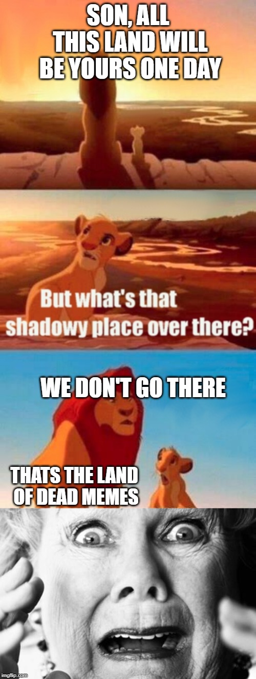 SON, ALL THIS LAND WILL BE YOURS ONE DAY; WE DON'T GO THERE; THATS THE LAND OF DEAD MEMES | image tagged in memes,simba shadowy place | made w/ Imgflip meme maker