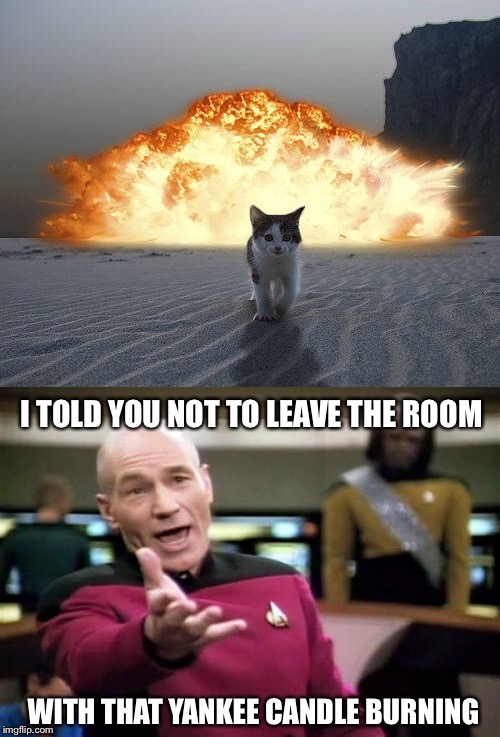 I TOLD YOU NOT TO LEAVE THE ROOM; WITH THAT YANKEE CANDLE BURNING | image tagged in memes,picard wtf,cat explosion,candle,funny | made w/ Imgflip meme maker