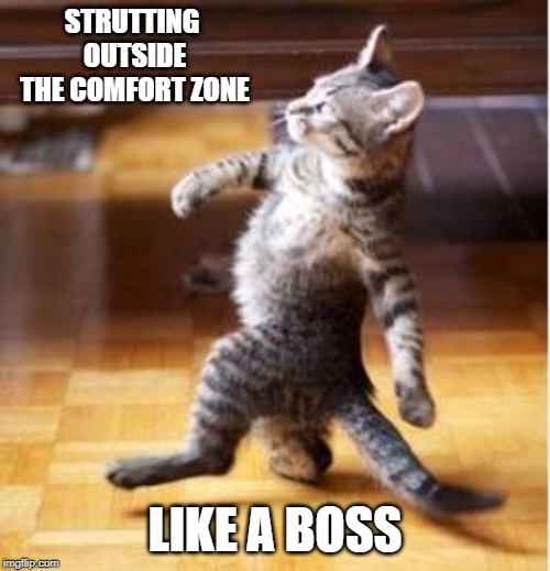 STRUTTING OUTSIDE THE COMFORT ZONE; LIKE A BOSS | made w/ Imgflip meme maker