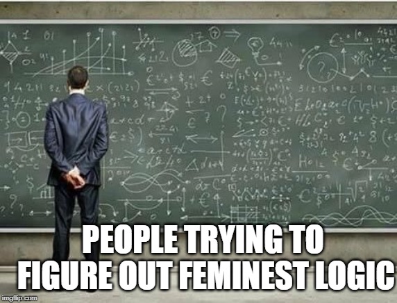 When you're trying to figure out | PEOPLE TRYING TO FIGURE OUT FEMINEST LOGIC | image tagged in when you're trying to figure out | made w/ Imgflip meme maker