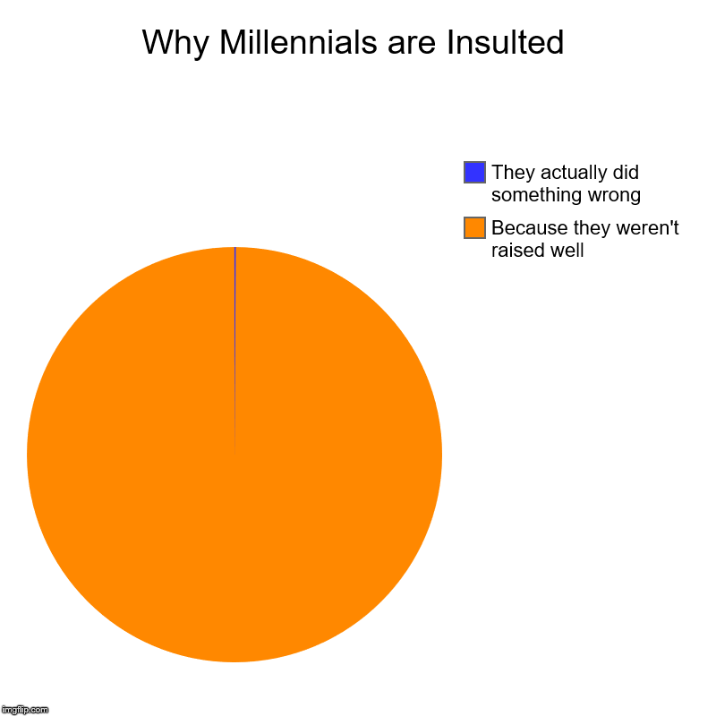 Why Millennials are Insulted | Because they weren't raised well, They actually did something wrong | image tagged in charts,pie charts | made w/ Imgflip chart maker