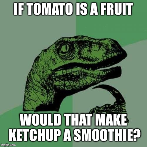Philosoraptor | IF TOMATO IS A FRUIT; WOULD THAT MAKE KETCHUP A SMOOTHIE? | image tagged in memes,philosoraptor | made w/ Imgflip meme maker