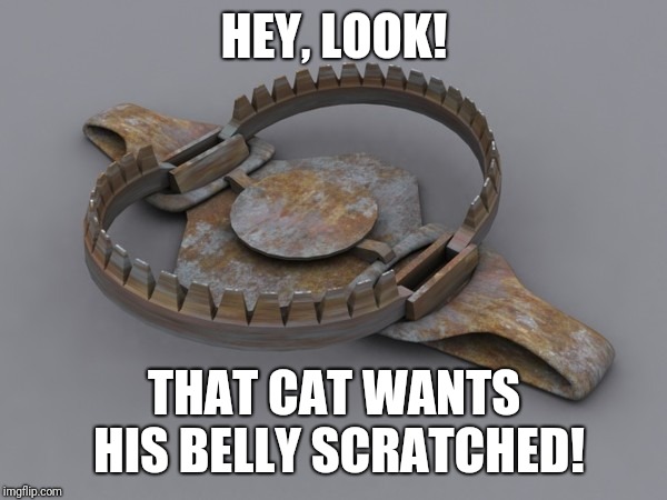 OW! OW! OW! OW! LEGGO! LEGGO! LEGGO! Stupid cat! | HEY, LOOK! THAT CAT WANTS HIS BELLY SCRATCHED! | image tagged in bear trap,memes,cats | made w/ Imgflip meme maker