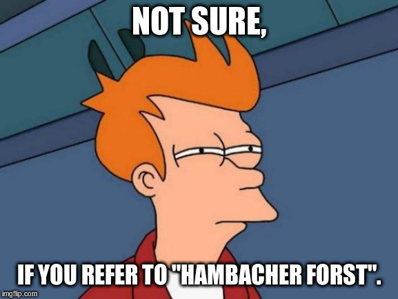 Futurama Fry Meme | NOT SURE, IF YOU REFER TO "HAMBACHER FORST". | image tagged in memes,futurama fry | made w/ Imgflip meme maker