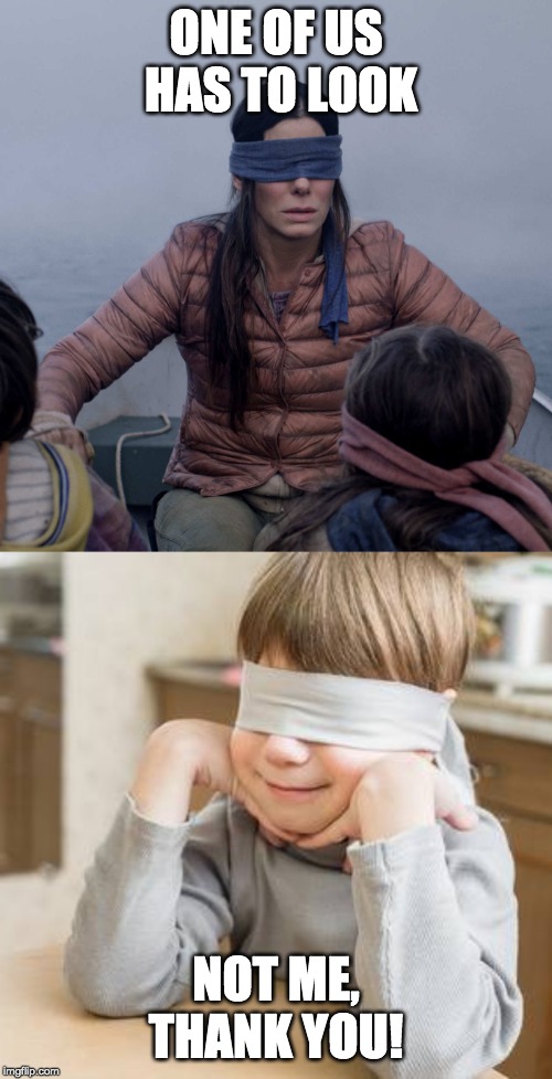 ONE OF US HAS TO LOOK; NOT ME, THANK YOU! | image tagged in memes,bird box | made w/ Imgflip meme maker