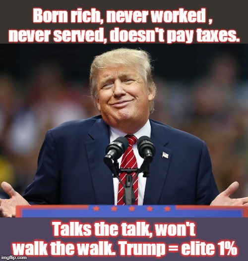 Tells people what they want to hear. Sad. Very sad. | Born rich, never worked , never served, doesn't pay taxes. Talks the talk, won't walk the walk. Trump = elite 1% | image tagged in trump,elite,pays no taxes,cheats,lies | made w/ Imgflip meme maker