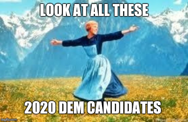 Look At All These | LOOK AT ALL THESE; 2020 DEM CANDIDATES | image tagged in memes,look at all these | made w/ Imgflip meme maker