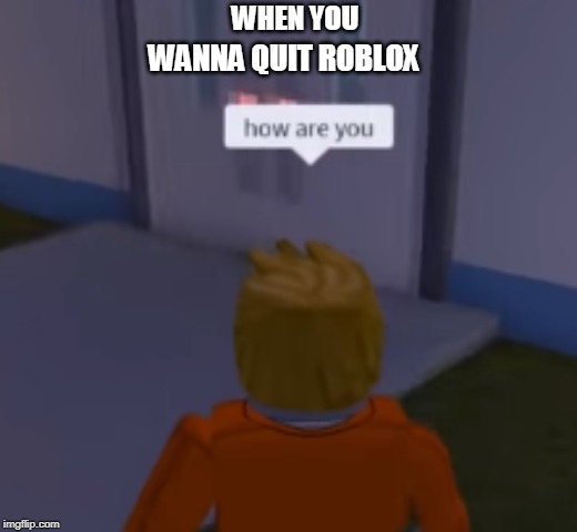 WHEN YOU; WANNA QUIT ROBLOX | image tagged in epicgamerkid786 | made w/ Imgflip meme maker