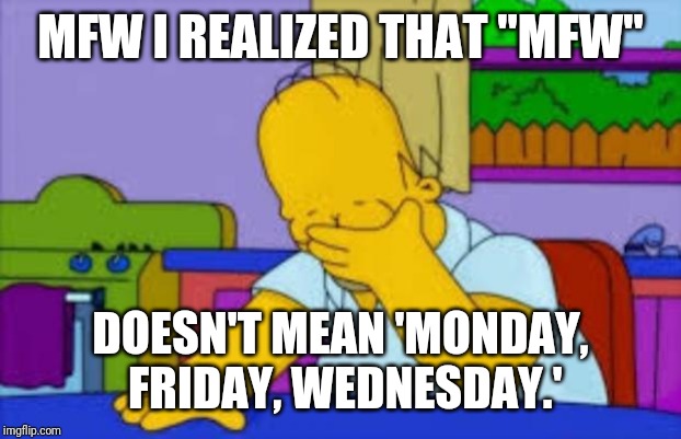 I Wondered Why People Were Talking Out Of Order.  IDK. Does That Still Mean ''Intensely Dumb Kardasians?" | MFW I REALIZED THAT "MFW"; DOESN'T MEAN 'MONDAY, FRIDAY, WEDNESDAY.' | image tagged in homer facepalm,mfw,facepalm | made w/ Imgflip meme maker