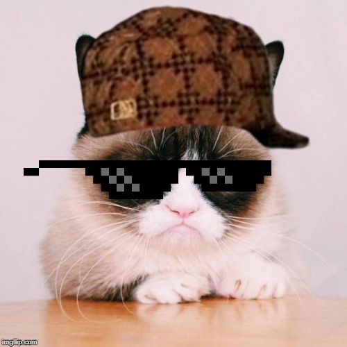 grumpy cat again | image tagged in grumpy cat again | made w/ Imgflip meme maker