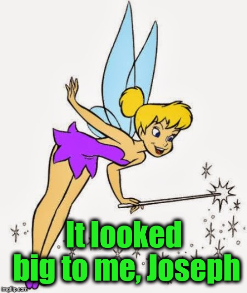 Tinkerbell | It looked big to me, Joseph | image tagged in tinkerbell | made w/ Imgflip meme maker