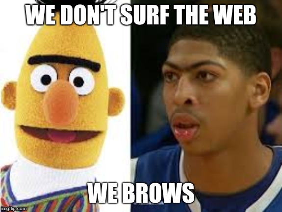 Funny | WE DON'T SURF THE WEB; WE BROWS | image tagged in website | made w/ Imgflip meme maker