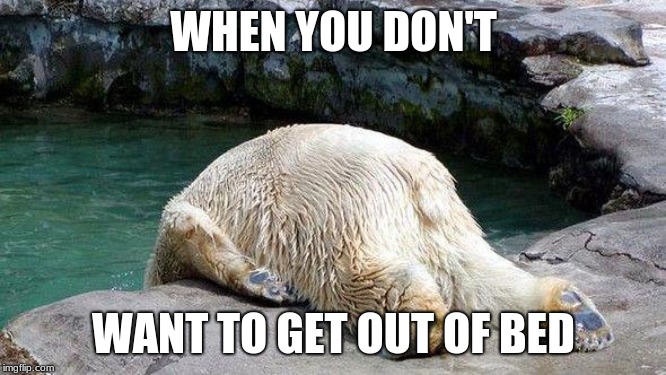 Tired Bear | WHEN YOU DON'T; WANT TO GET OUT OF BED | image tagged in tired bear | made w/ Imgflip meme maker
