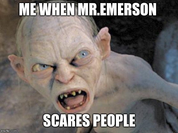 Hypercare | ME WHEN MR.EMERSON; SCARES PEOPLE | image tagged in hypercare | made w/ Imgflip meme maker