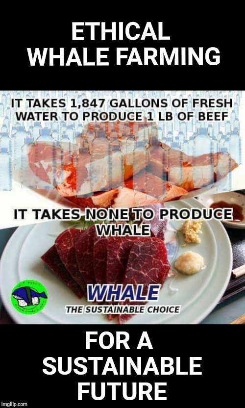 Or free range whale | ETHICAL WHALE FARMING; FOR A SUSTAINABLE FUTURE | image tagged in whale,whales,meat,vegan,vegetarian,farming | made w/ Imgflip meme maker