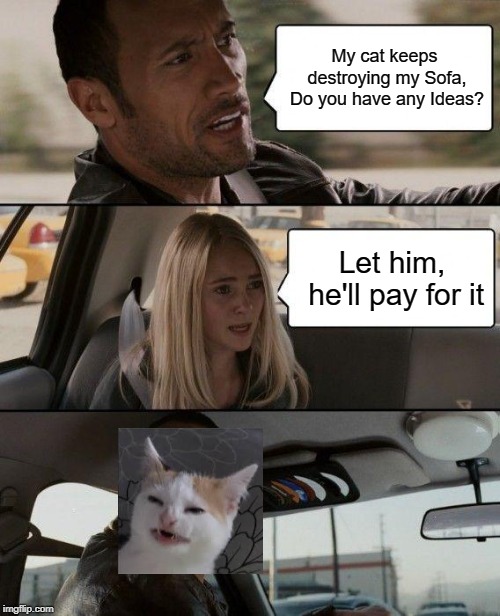 The Rock Driving | My cat keeps destroying my Sofa, Do you have any Ideas? Let him, he'll pay for it | image tagged in memes,the rock driving | made w/ Imgflip meme maker