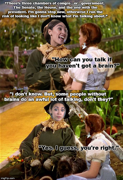The AOC of uhhs... | “There’s three chambers of congre…er…government. The Senate, the House, and the one with the president. I’m gonna stop now, otherwise I run the risk of looking like I don’t know what I’m talking about.”; "How can you talk if you haven't got a brain?"; "I don't know. But, some people without brains do an awful lot of talking, don't they?"; "Yes. I guess, you're right." | image tagged in wizard of oz,wizard of oz scarecrow,aoc,idiot,special kind of stupid,congress | made w/ Imgflip meme maker