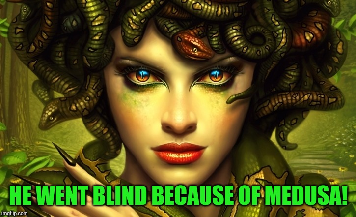 medusa | HE WENT BLIND BECAUSE OF MEDUSA! | image tagged in medusa | made w/ Imgflip meme maker