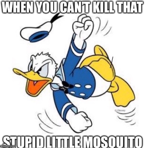 Mosquito | image tagged in mad,funny,meme,memes,funny memes | made w/ Imgflip meme maker