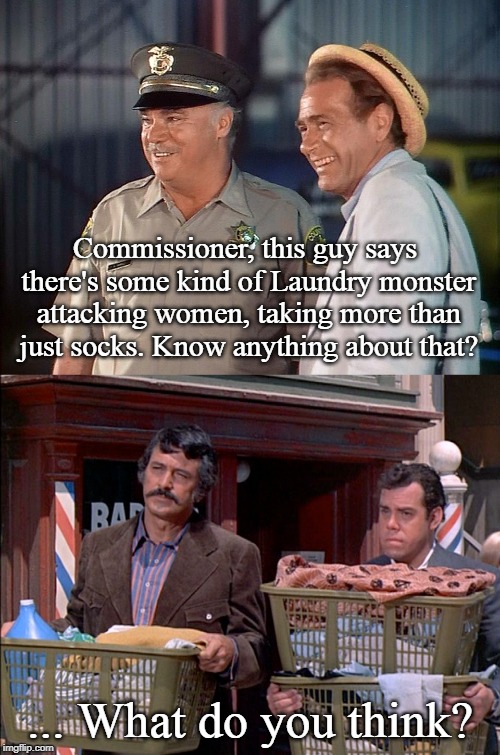 The McMillan & Wife Stalker | Commissioner, this guy says there's some kind of Laundry monster attacking women, taking more than just socks. Know anything about that? ... What do you think? | image tagged in mashup,classics,tv shows | made w/ Imgflip meme maker