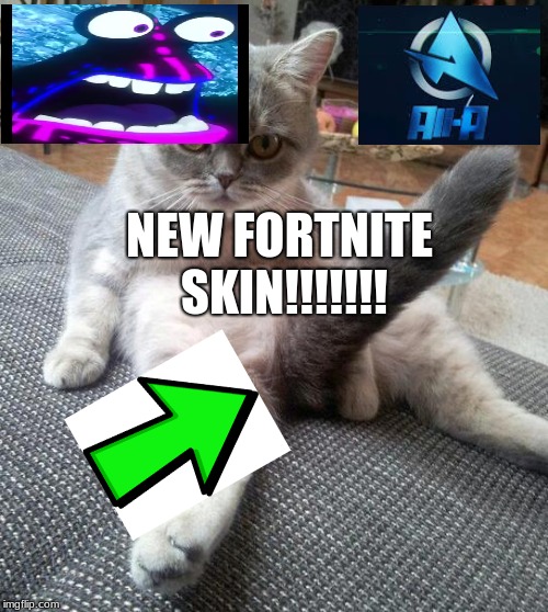 Sexy Cat | NEW FORTNITE SKIN!!!!!!! | image tagged in memes,sexy cat | made w/ Imgflip meme maker