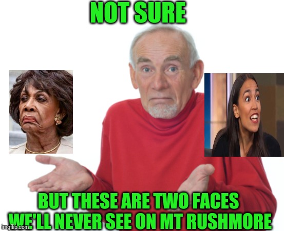 Old Man Shrugging | NOT SURE BUT THESE ARE TWO FACES WE'LL NEVER SEE ON MT RUSHMORE | image tagged in old man shrugging | made w/ Imgflip meme maker