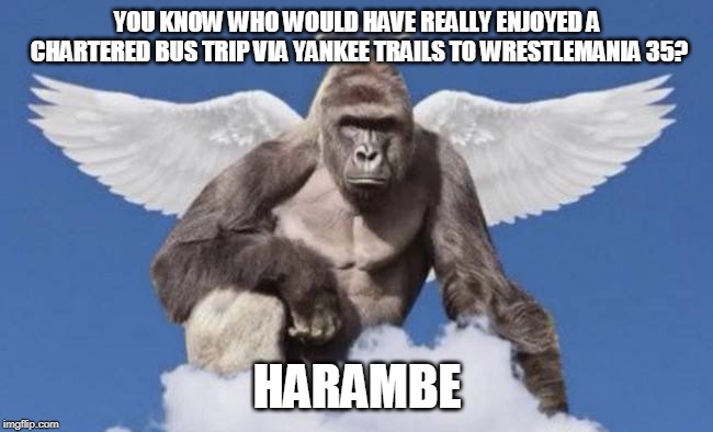 Harambe | YOU KNOW WHO WOULD HAVE REALLY ENJOYED A CHARTERED BUS TRIP VIA YANKEE TRAILS TO WRESTLEMANIA 35? HARAMBE | image tagged in harambe | made w/ Imgflip meme maker