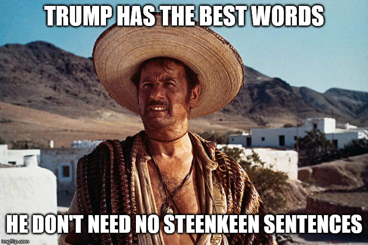 Steenkeen Sentences | TRUMP HAS THE BEST WORDS; HE DON'T NEED NO STEENKEEN SENTENCES | image tagged in political meme,political humor | made w/ Imgflip meme maker