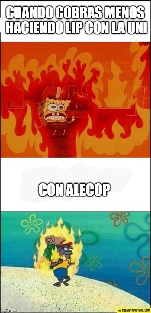 Spongebob fire | CUANDO COBRAS MENOS HACIENDO LIP CON LA UNI; CON ALECOP | image tagged in spongebob fire | made w/ Imgflip meme maker