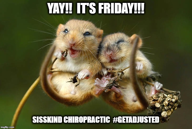YAY!!  IT'S FRIDAY!!! SISSKIND CHIROPRACTIC  #GETADJUSTED | image tagged in yay | made w/ Imgflip meme maker