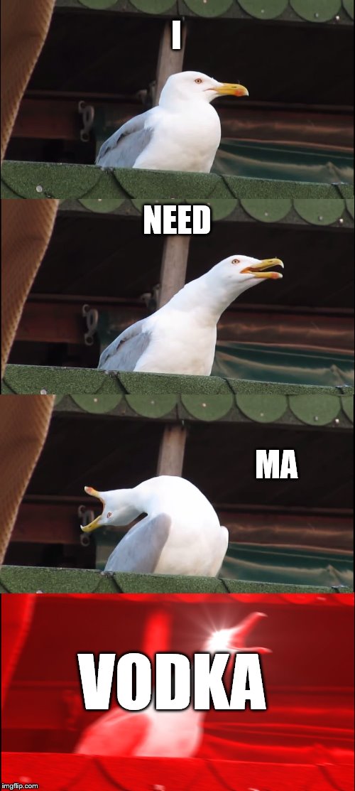 Inhaling Seagull Meme | I; NEED; MA; VODKA | image tagged in memes,inhaling seagull | made w/ Imgflip meme maker